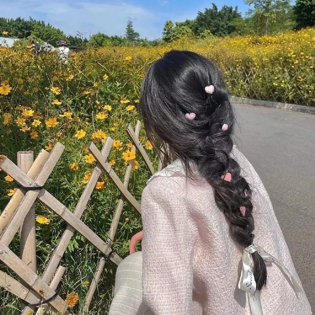 市委书记日记